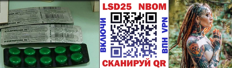 Купить закладки  Кингисепп  Лсд 25 экстази кислота 