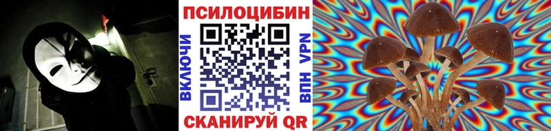 Купить закладки  Кингисепп  Галлюциногенные грибы ЛСД 