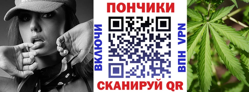 Купить  Кингисепп  Шишки марихуана SATIVA & INDICA 
